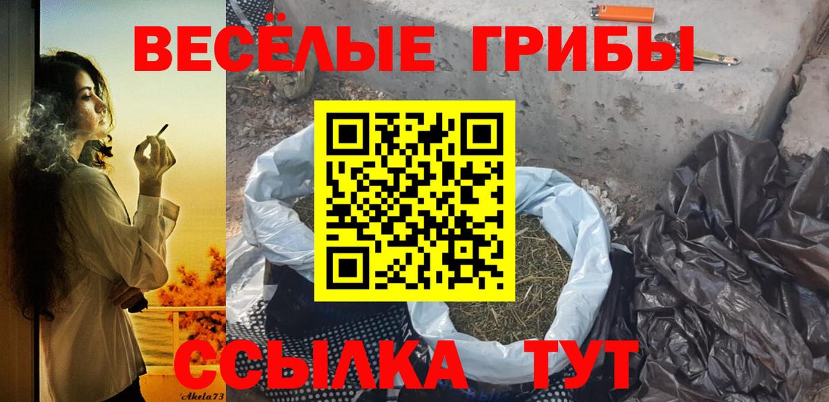 Галлюциногенные грибы прущие грибы Нижнеудинск