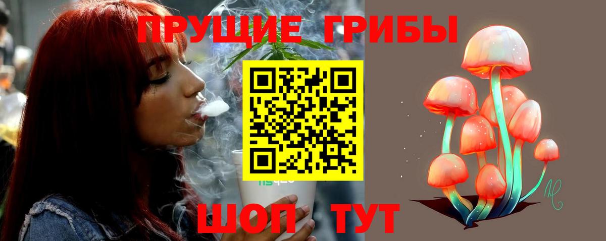 Псилоцибиновые грибы Psilocybe  Вход с VPN  Нижнеудинск 